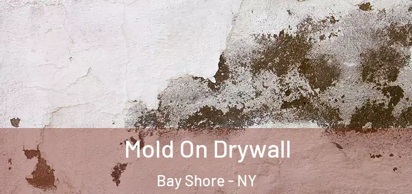  Mold On Drywall Bay Shore - NY