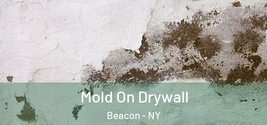  Mold On Drywall Beacon - NY