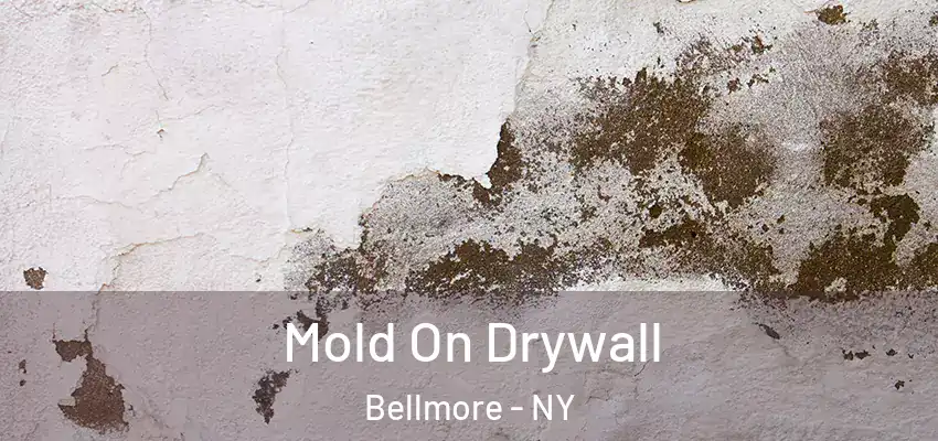  Mold On Drywall Bellmore - NY
