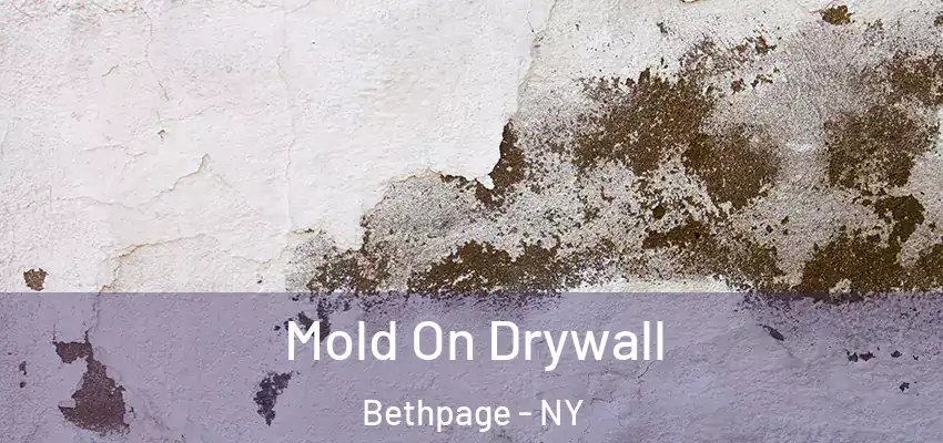 Mold On Drywall Bethpage - NY