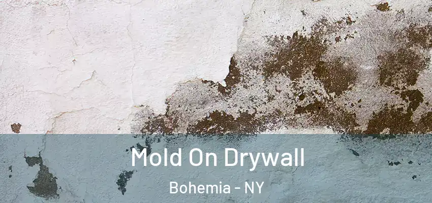  Mold On Drywall Bohemia - NY