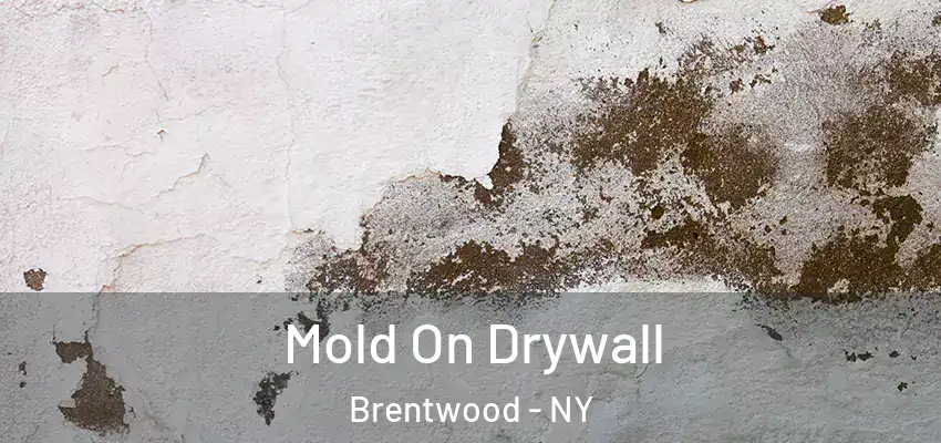  Mold On Drywall Brentwood - NY