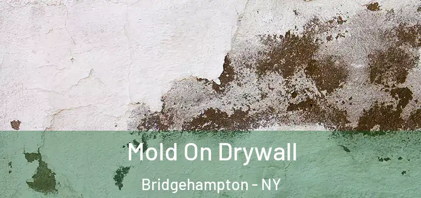  Mold On Drywall Bridgehampton - NY