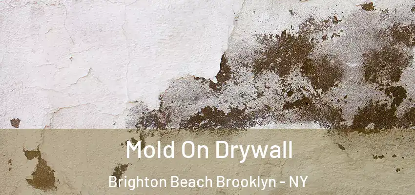  Mold On Drywall Brighton Beach Brooklyn - NY