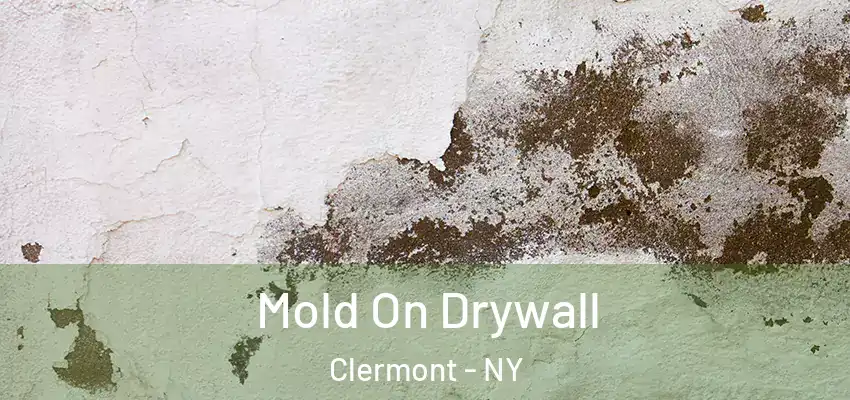 Mold On Drywall Clermont - NY