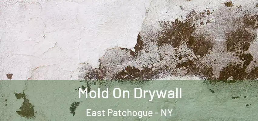 Mold On Drywall East Patchogue - NY