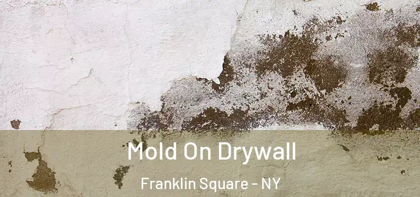 Mold On Drywall Franklin Square - NY