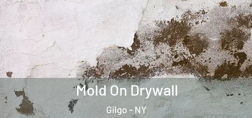 Mold On Drywall Gilgo - NY