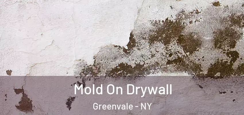 Mold On Drywall Greenvale - NY