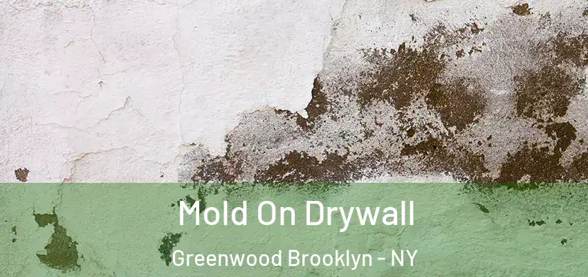  Mold On Drywall Greenwood Brooklyn - NY