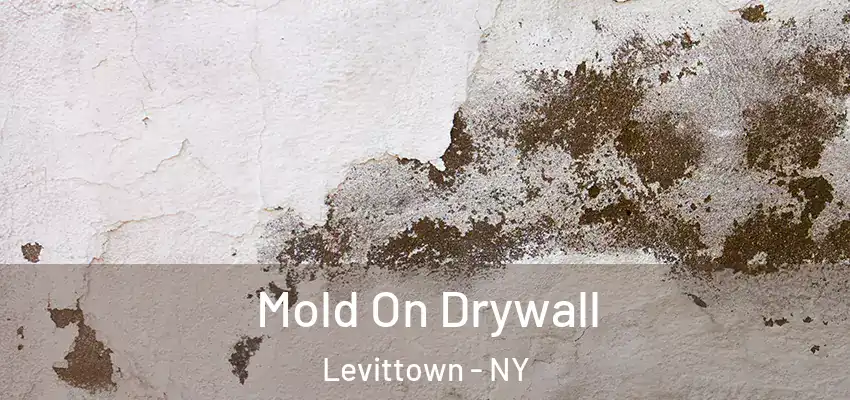 Mold On Drywall Levittown - NY