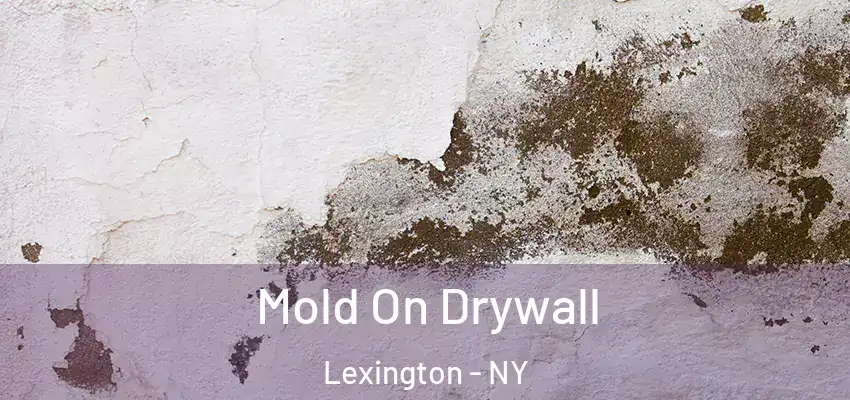  Mold On Drywall Lexington - NY