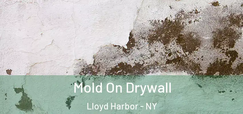 Mold On Drywall Lloyd Harbor - NY