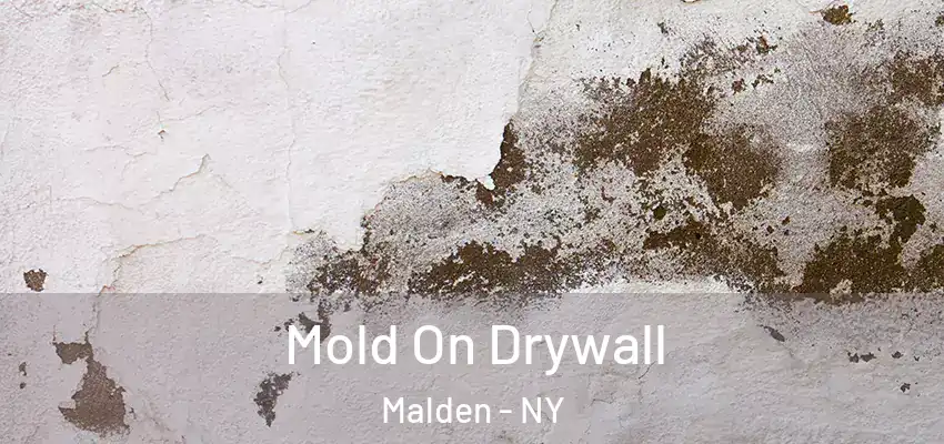 Mold On Drywall Malden - NY