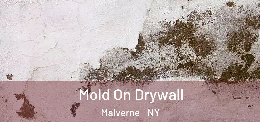 Mold On Drywall Malverne - NY