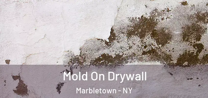 Mold On Drywall Marbletown - NY