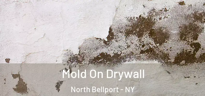  Mold On Drywall North Bellport - NY