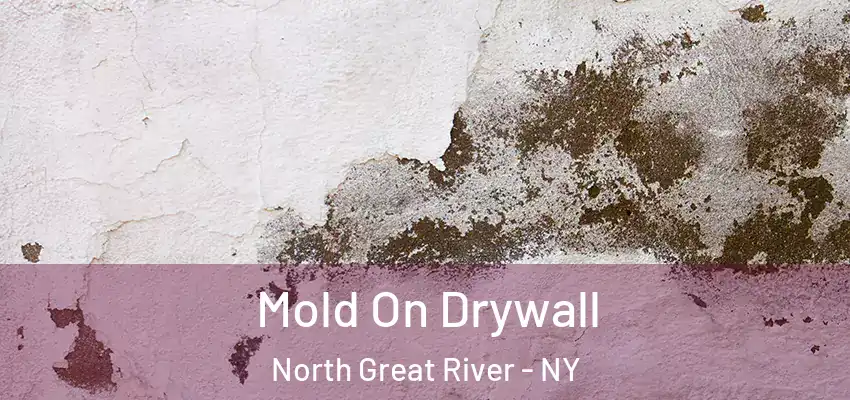  Mold On Drywall North Great River - NY