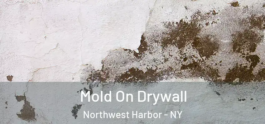  Mold On Drywall Northwest Harbor - NY