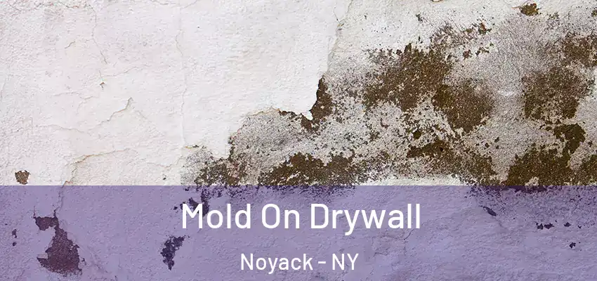 Mold On Drywall Noyack - NY