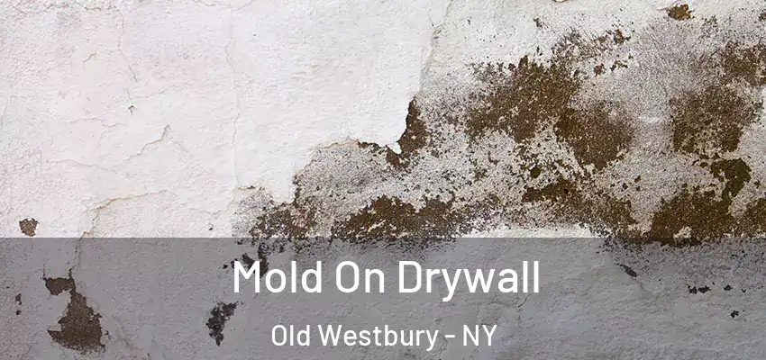  Mold On Drywall Old Westbury - NY