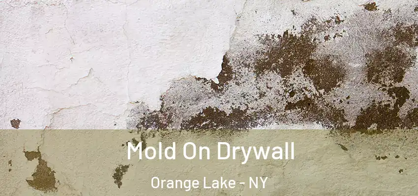  Mold On Drywall Orange Lake - NY