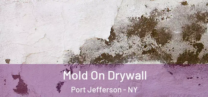  Mold On Drywall Port Jefferson - NY