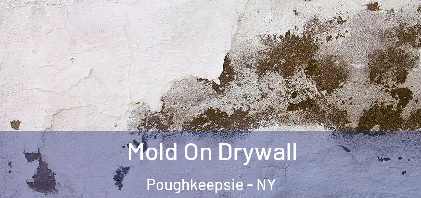 Mold On Drywall Poughkeepsie - NY