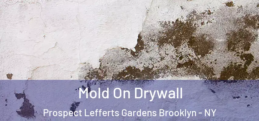 Mold On Drywall Prospect Lefferts Gardens Brooklyn - NY
