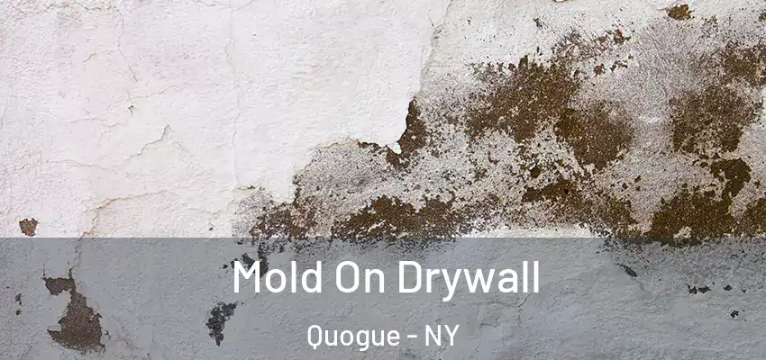  Mold On Drywall Quogue - NY