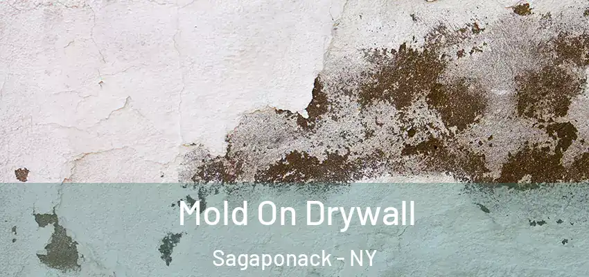  Mold On Drywall Sagaponack - NY