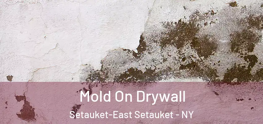  Mold On Drywall Setauket-East Setauket - NY