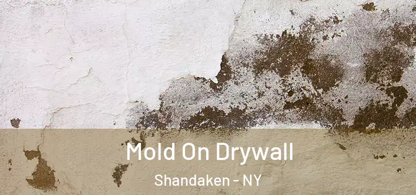  Mold On Drywall Shandaken - NY