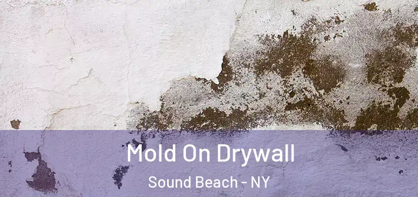 Mold On Drywall Sound Beach - NY