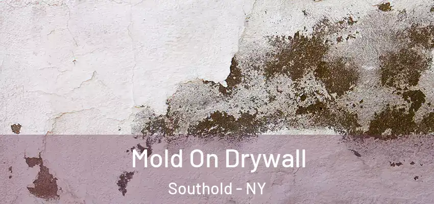  Mold On Drywall Southold - NY
