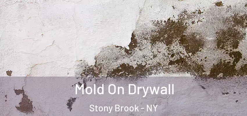 Mold On Drywall Stony Brook - NY