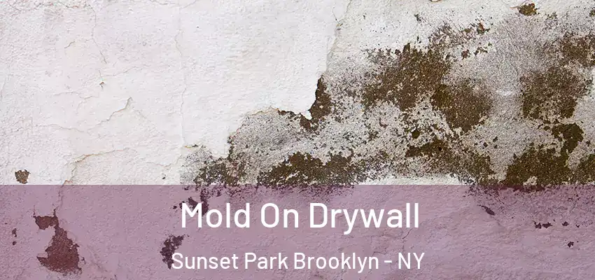  Mold On Drywall Sunset Park Brooklyn - NY