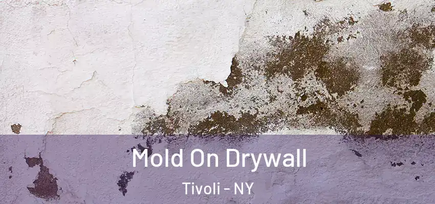Mold On Drywall Tivoli - NY