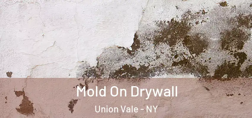 Mold On Drywall Union Vale - NY