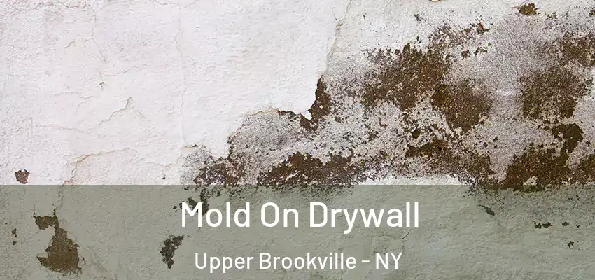 Mold On Drywall Upper Brookville - NY