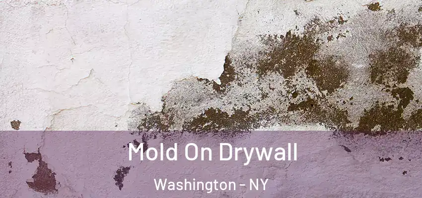 Mold On Drywall Washington - NY