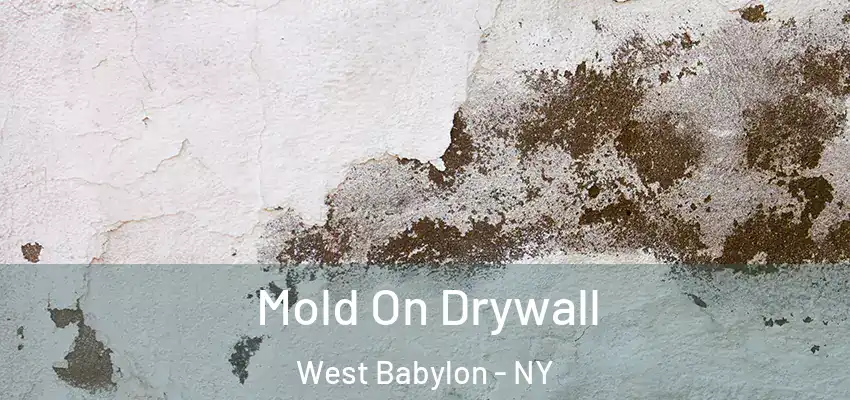 Mold On Drywall West Babylon - NY