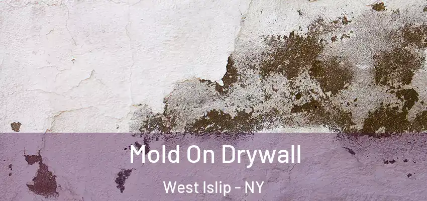 Mold On Drywall West Islip - NY