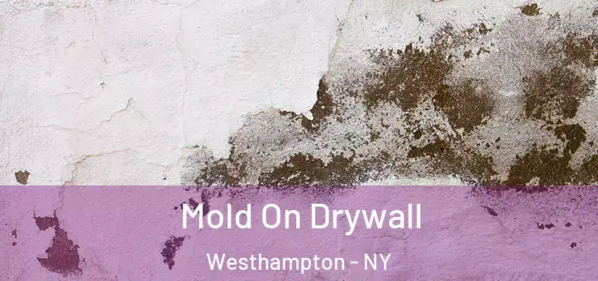 Mold On Drywall Westhampton - NY