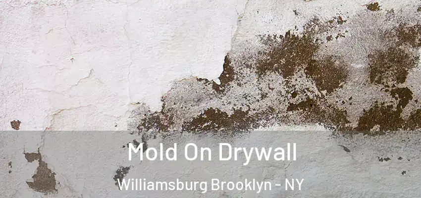Mold On Drywall Williamsburg Brooklyn - NY