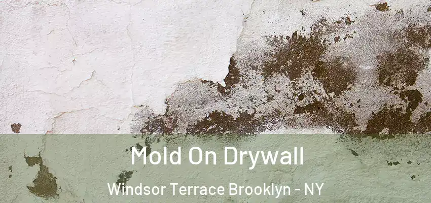  Mold On Drywall Windsor Terrace Brooklyn - NY