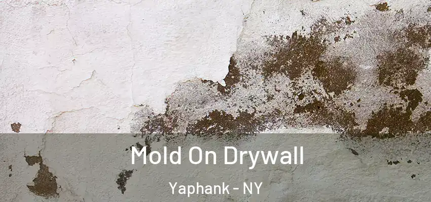  Mold On Drywall Yaphank - NY