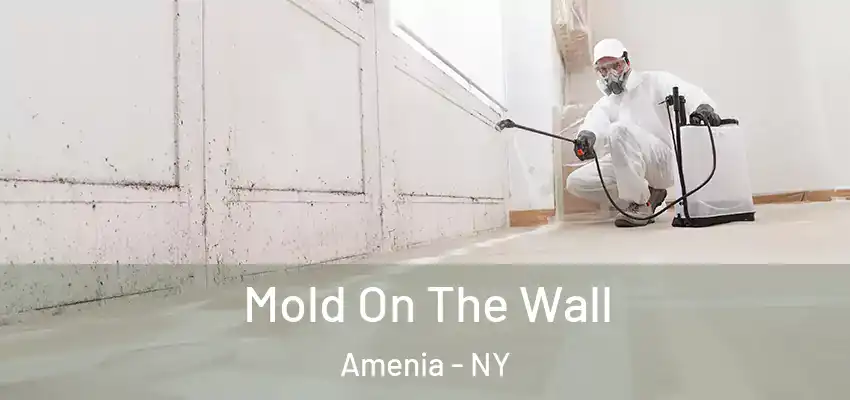  Mold On The Wall Amenia - NY