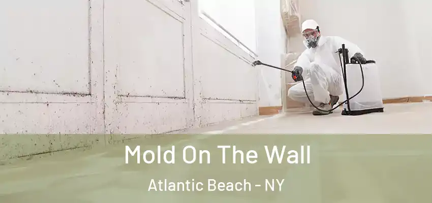  Mold On The Wall Atlantic Beach - NY