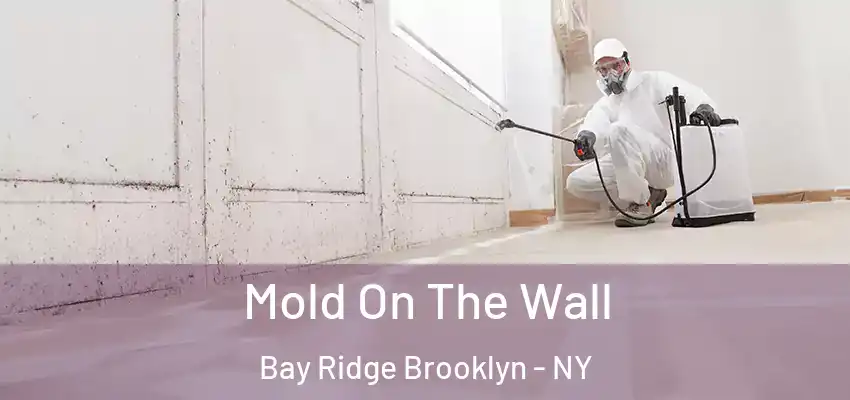  Mold On The Wall Bay Ridge Brooklyn - NY